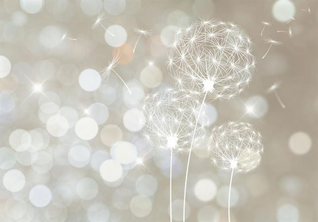 Fotomurale The Ballad of Beauty