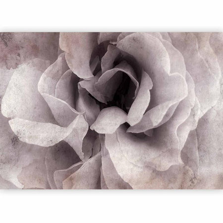 Carta da Parati Ingresso alla Beatitudine