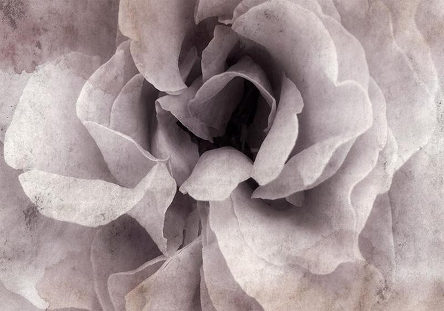 Carta da Parati Ingresso alla Beatitudine