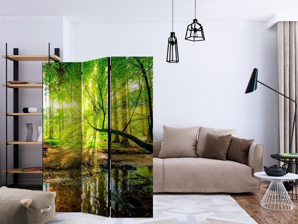 Paravento Forest Stream [Room Dividers]