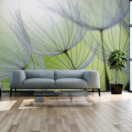 Fotomurale Momenti fugaci