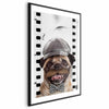 Poster - Pug in a Hat