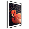 Poster - Flamingo Solo