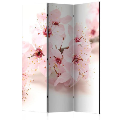 Paravento Cherry Blossom [divisori da interno]