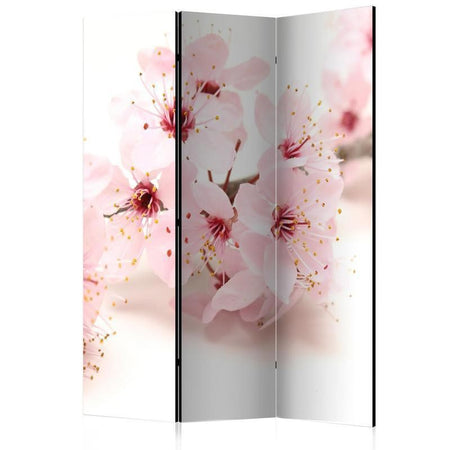 Paravento Cherry Blossom [divisori da interno]