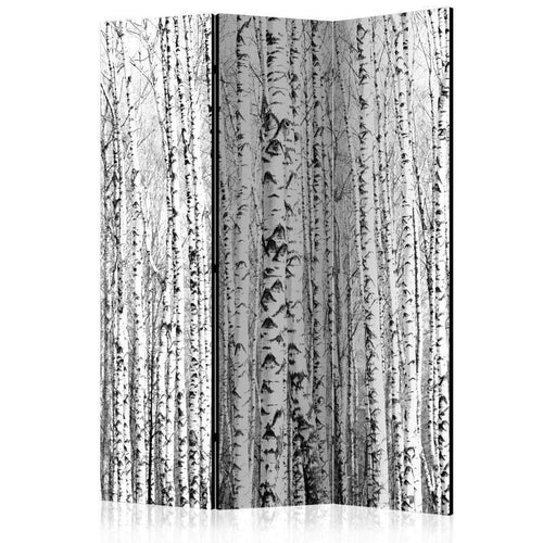 Paravento Birch forest [divisori da interno]