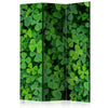 Paravento Green Clover [Room Dividers]