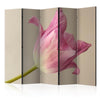 Paravento Pink tulip II [Room Dividers]