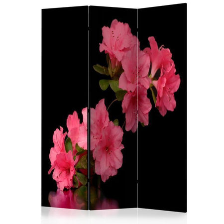 Paravento Azalea in Black [divisori da interno]