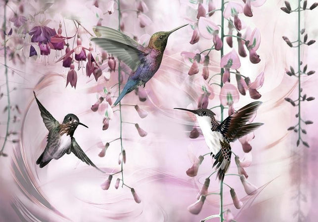 Fotomurale Flying Hummingbirds (Pink)