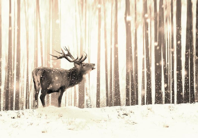 Fotomurale adesivo Deer in the Snow (Sepia)