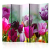 Paravento Beautiful Tulips II [divisori da interno]