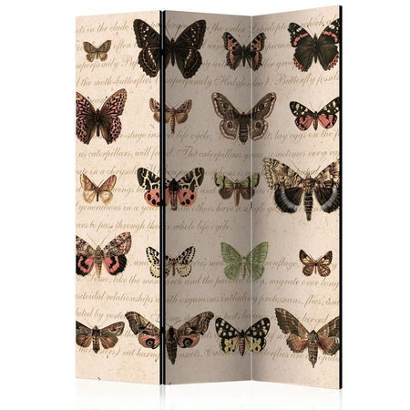 Paravento Retro Style: Butterflies [divisori da interno]