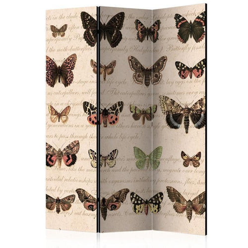 Paravento Retro Style: Butterflies [divisori da interno]