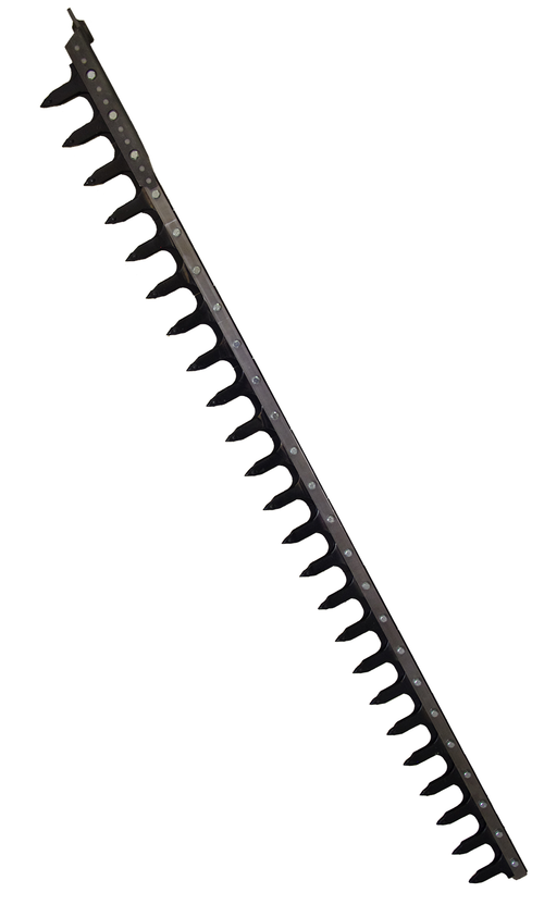 Dentiera 14 denti lunghezza 2,05 mt adattabile a Gaspardo FBR 13013770