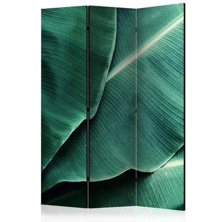 Paravento Banana Leaf [divisori da interno]