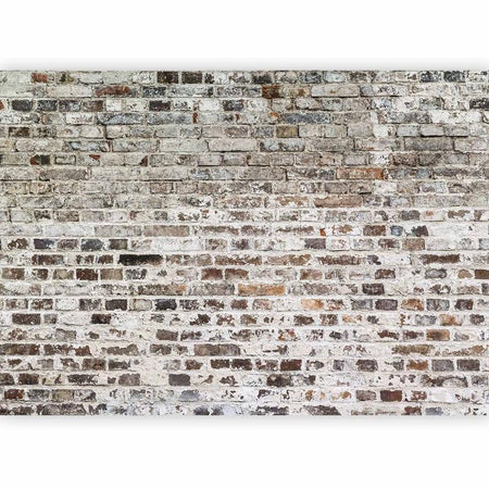 Fotomurale Old Walls