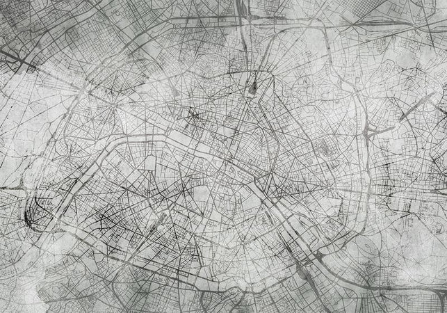 Fotomurale Parisian Fresco