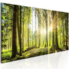 Quadro Daylight