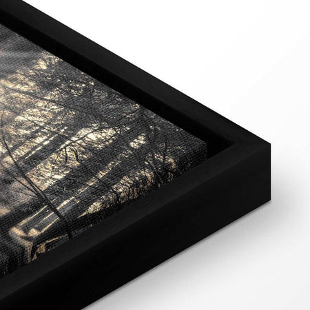 Quadro Il sole del bosco