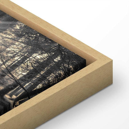 Quadro Il sole del bosco