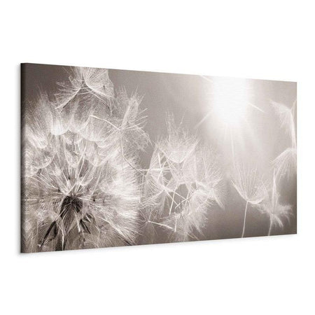 Quadro Summer Dandelions