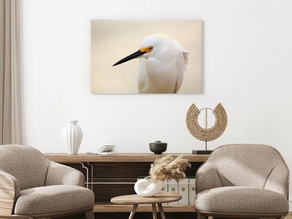 Quadro Snowy Egret (1 Part) Wide
