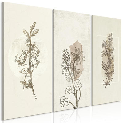 Quadro Herbarium (3 Parts)