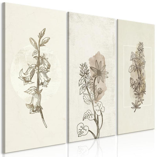 Quadro Herbarium (3 Parts)