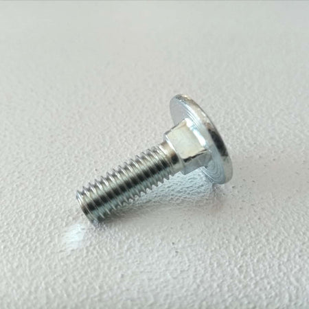 Vite carrettiere 6x25mm - 10pz vite metrica testa tonda con quadro sottotesta bassa resistenza