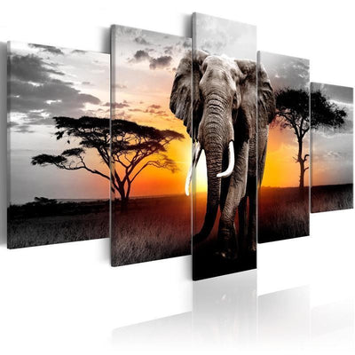 Quadro Elephant at Sunset