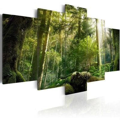 Quadro Fascino della foresta