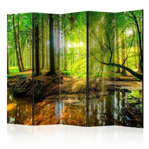 Paravento Forest Stream II [Room Dividers]