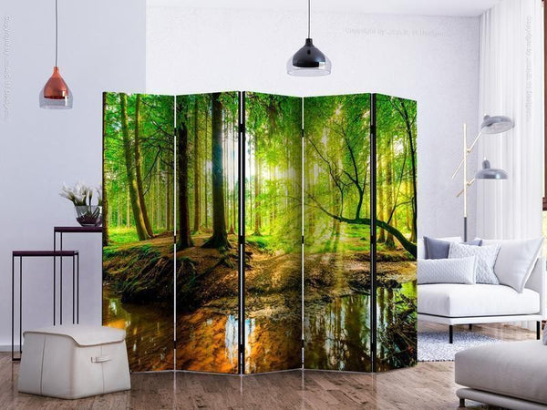 Paravento Forest Stream II [Room Dividers]