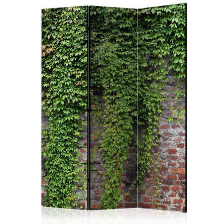 Paravento Brick and ivy [Room Dividers]
