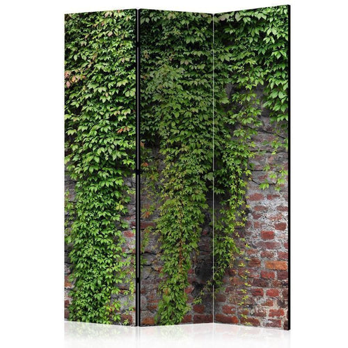 Paravento Brick and ivy [Room Dividers]