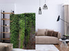 Paravento Brick and ivy [Room Dividers]