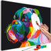 Quadro fai da te Colourful Boxer