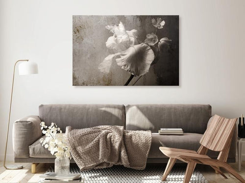 Quadro - Venetian Splendor (1 Part) Wide