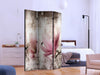 Paravento - Historic Magnolias