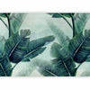 Carta da parati - Magic Plants - Second Variant