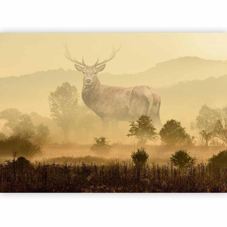 Carta da parati - Dreamlike Image