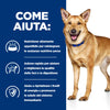 Hill's Prescription Diet Digestive Care secco Cani Adulti pollo