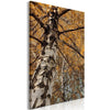 Quadro - Autumn Colours (1 Part) Vertical