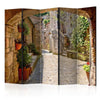Paravento - Provincial alley in Tuscany II