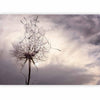 Carta da parati - Gentle Wind