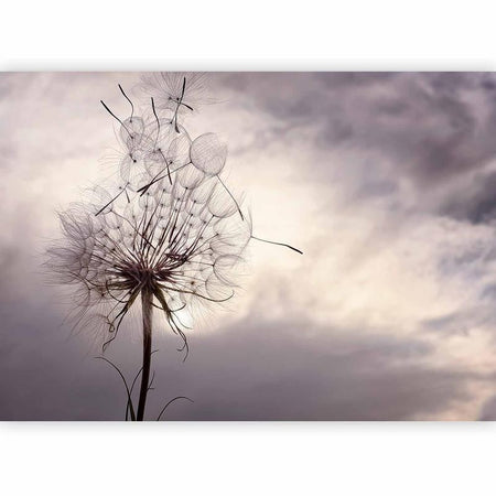 Carta da parati - Gentle Wind