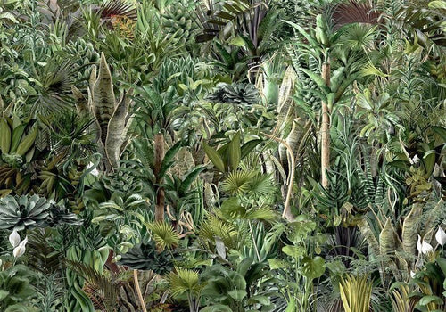 Carta da parati - Richness of Jungle