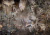 Carta da parati - Mysterious Jungle