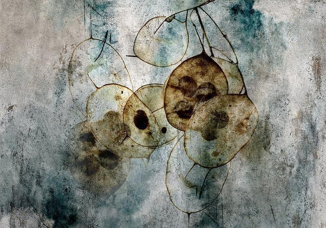 Carta da parati - Nature and Lunaria